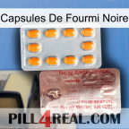 Black Ant Capsules new13